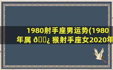 1980射手座男运势(1980年属 🌿 猴射手座女2020年运势)